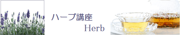 ハーブ講座.png