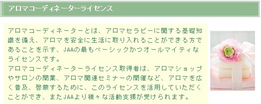 ＪＡＡライセンス.bmp
